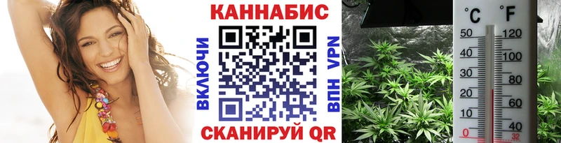 Виды наркотиков купить Избербаш COCAIN  Галлюциногенные грибы  ГАШ  A-PVP 