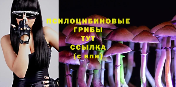 каннабис Абаза