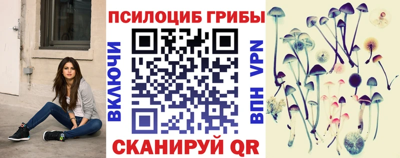 магазин продажи наркотиков  Избербаш  даркнет формула  Псилоцибиновые грибы ЛСД 