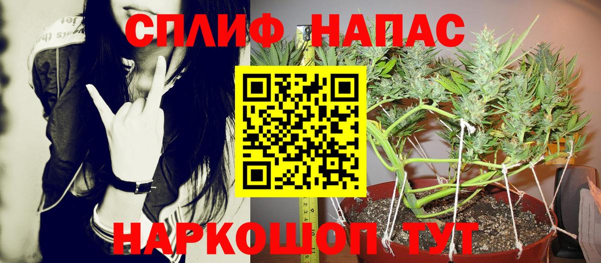 Бошки Шишки SATIVA & INDICA Избербаш